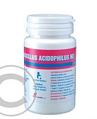lactobacillus