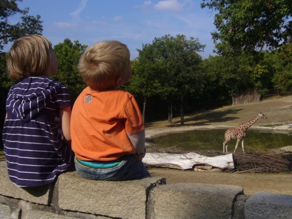 zoo1