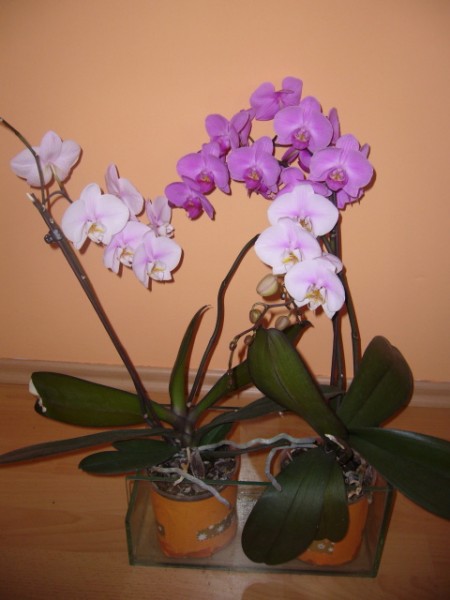 P1100070