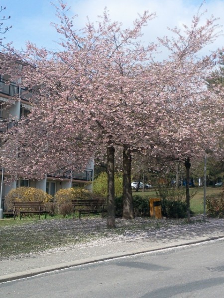 Fotografie0957