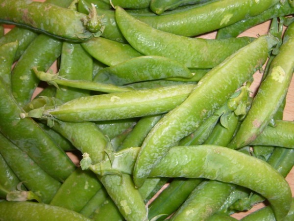 P1100820