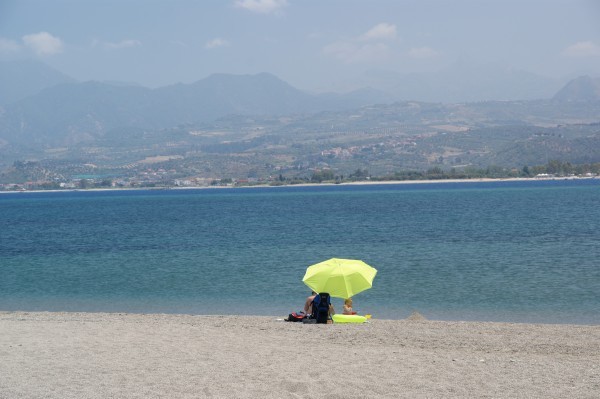 20.6. oliveri2
