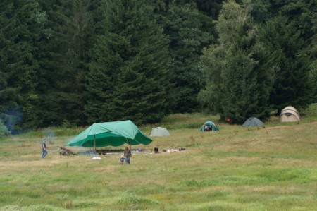 arelek