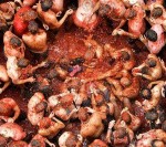 tomatina