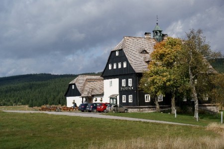 pansky dm