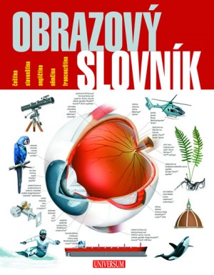 Obraz.slovnik