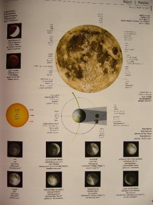 astronomie