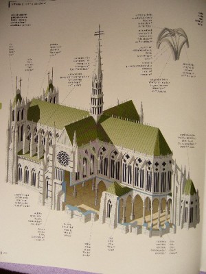 architektura